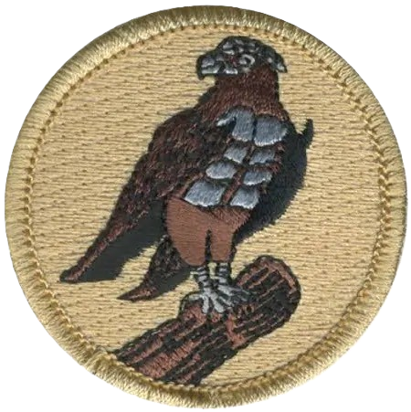 Nighthawk